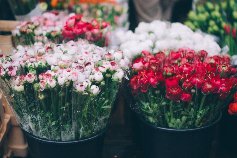 fleuriste-LUCERAM-min_farmers-market-1209712